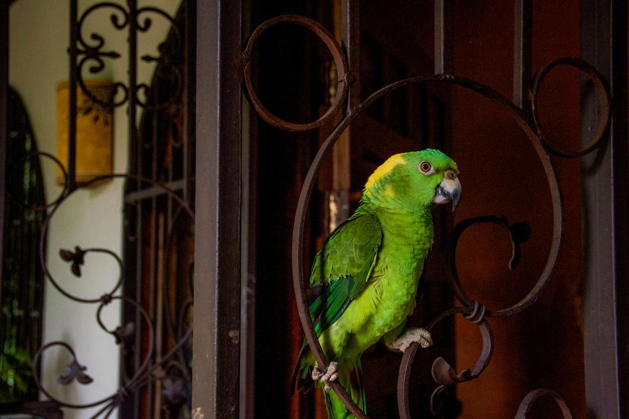 Quinta Mi Tata B&B Sardinal Dış mekan fotoğraf